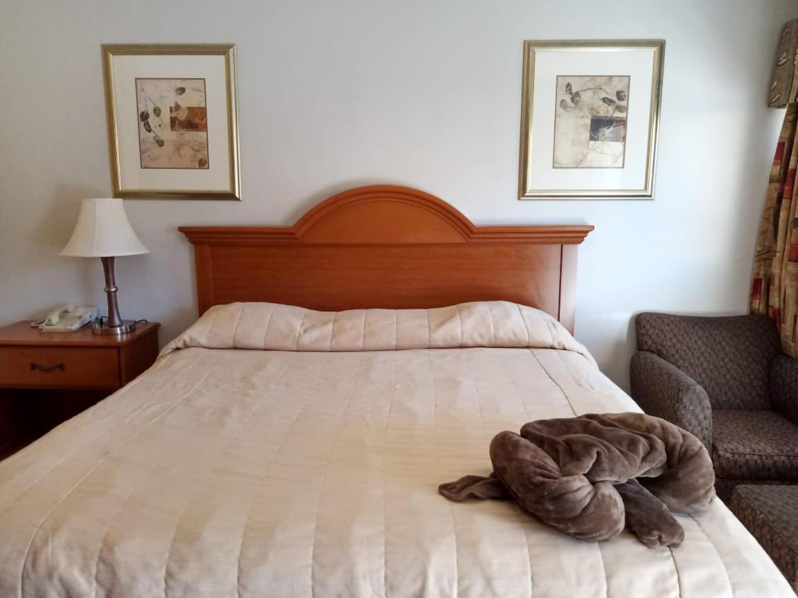 Hotel Posada Del Desierto Heroica Caborca 외부 사진